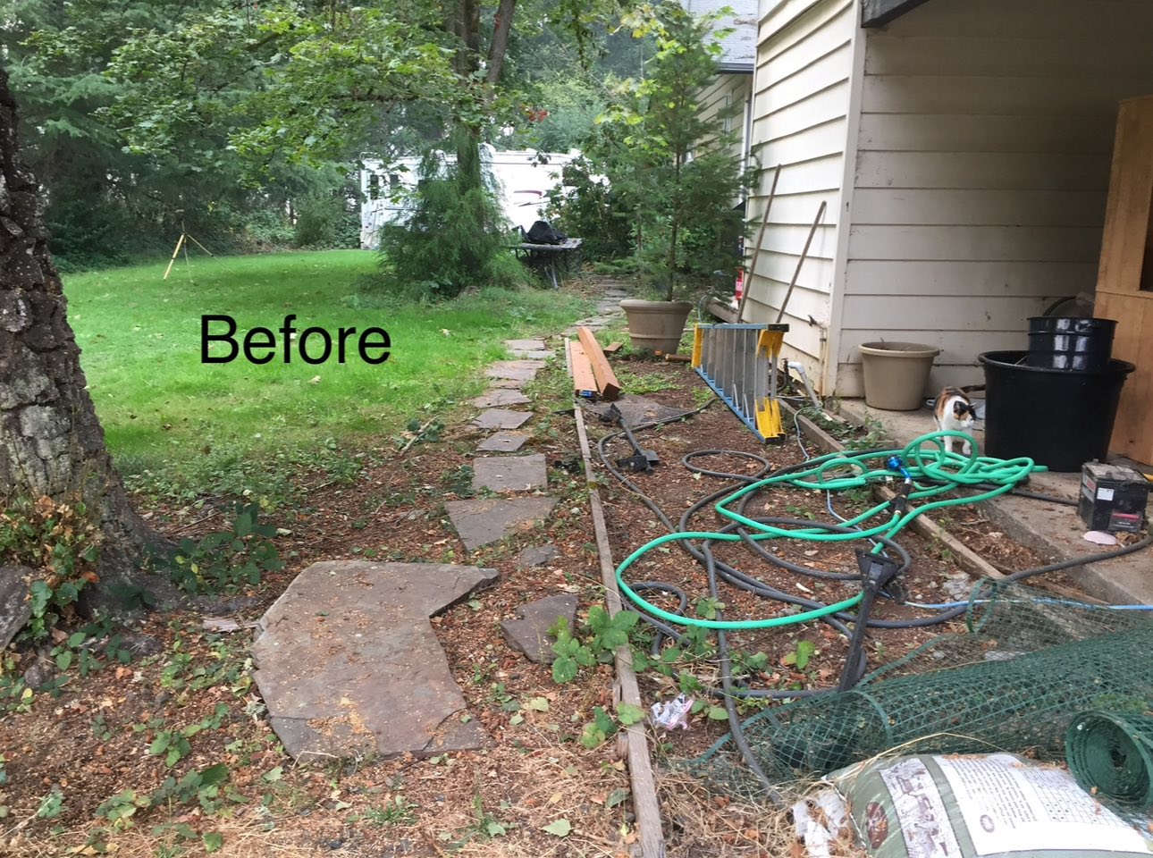 Side Yard — Before